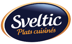 Logo Sveltic 